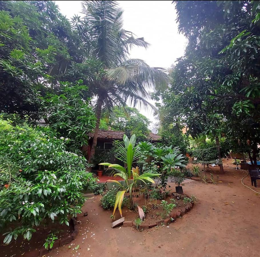Lotus Riya Home Stay Hampi Εξωτερικό φωτογραφία